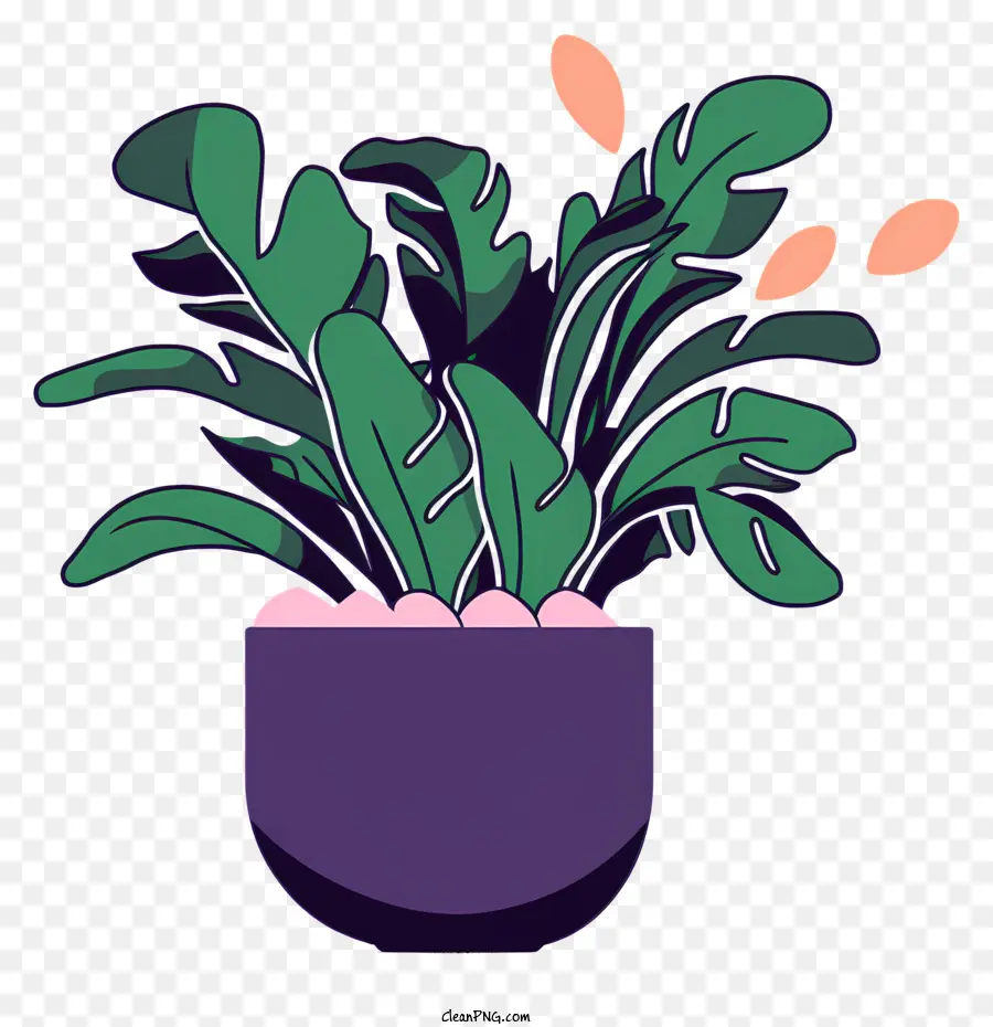 Pot Violet，Plante Verte PNG