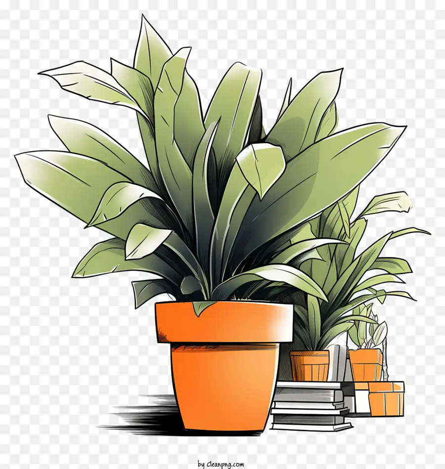 Grand Pot D'orange，Plante En Pot PNG