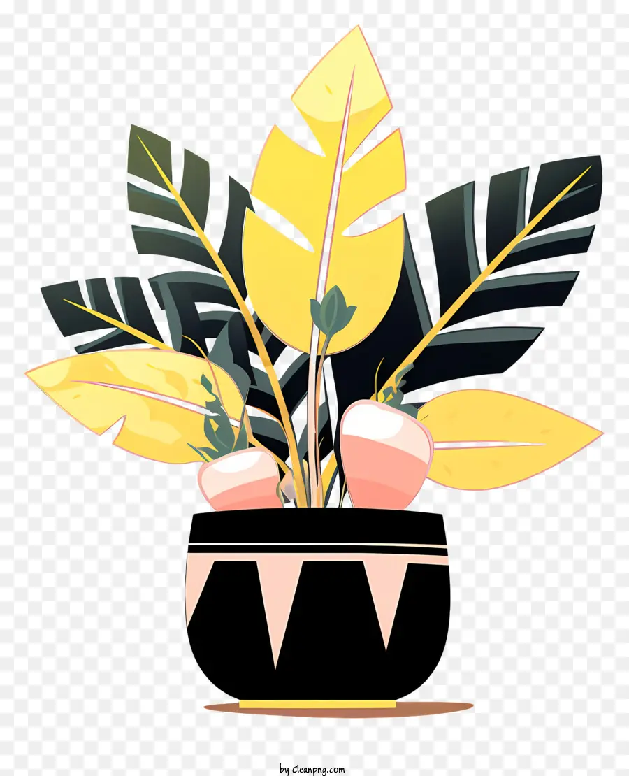 Vase Noir，Plante En Pot PNG