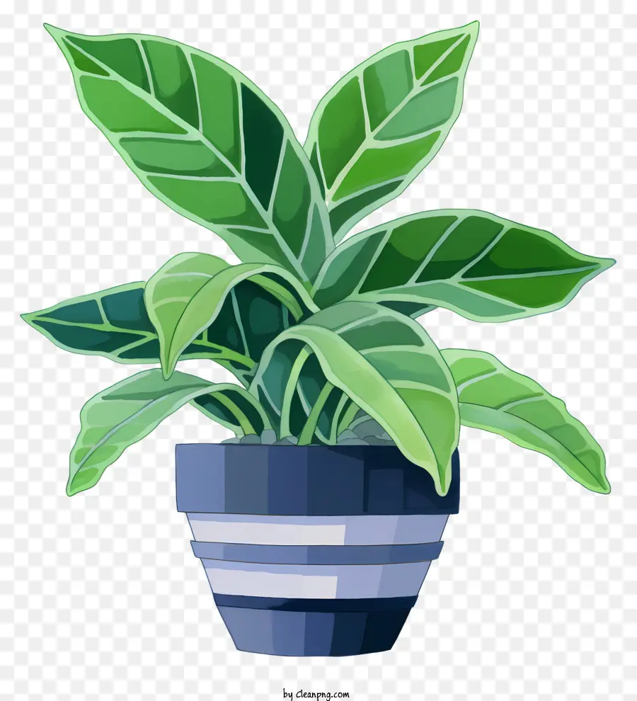 Plante En Pot，Feuilles Vertes PNG