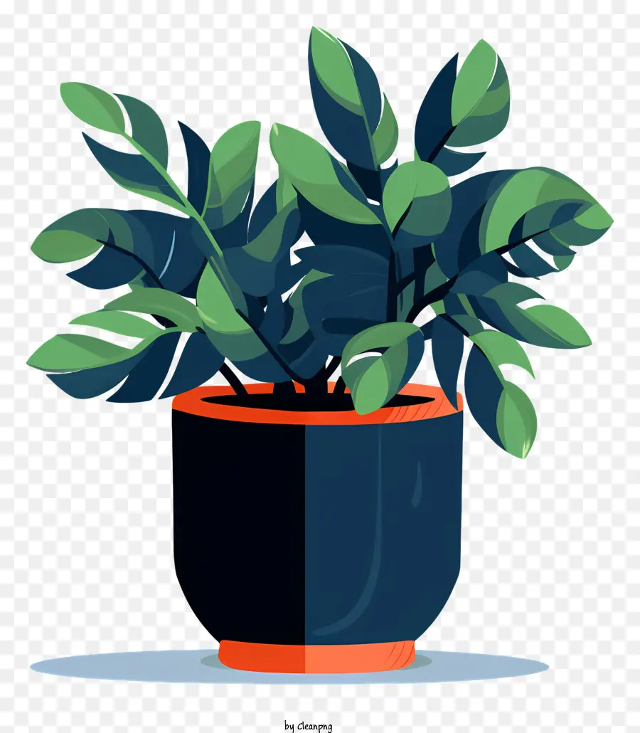 Pot Noir，Plante En Pot PNG