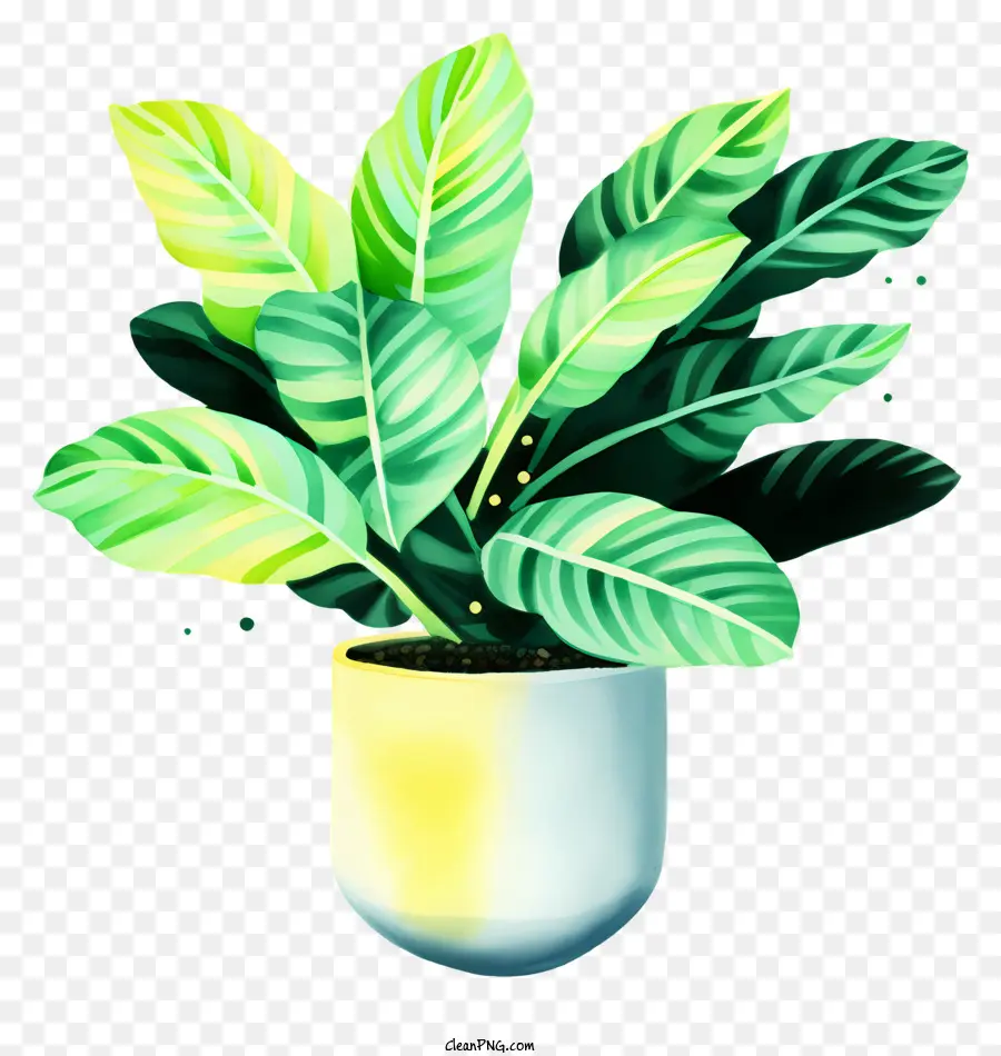 Peinture，Plante En Pot PNG