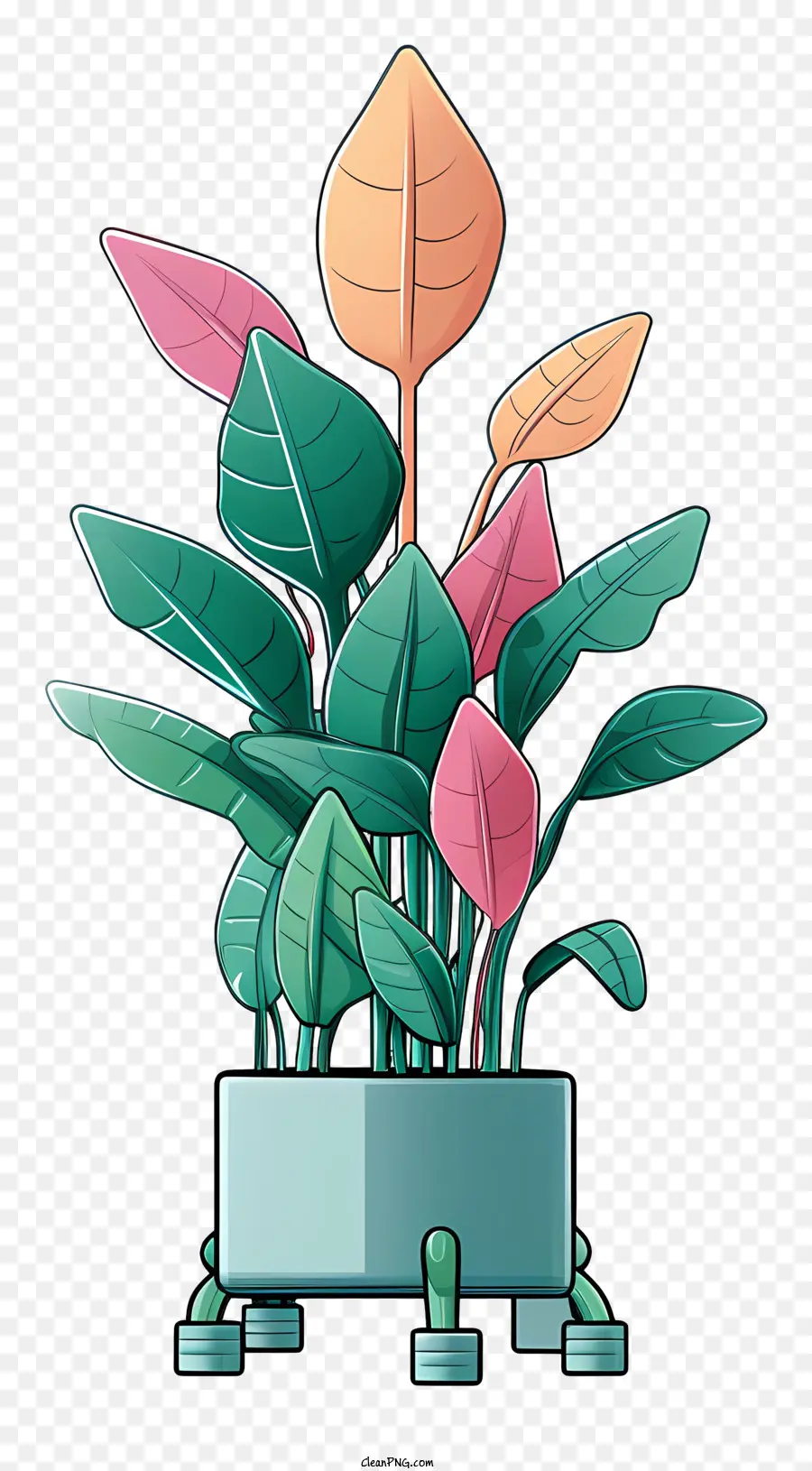 Mots Clés，Plante En Pot PNG