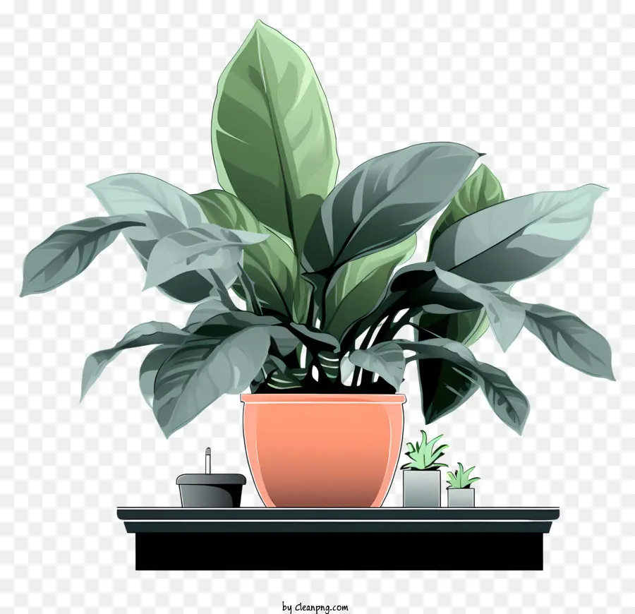 Plantes En Pot，Plante Verte PNG