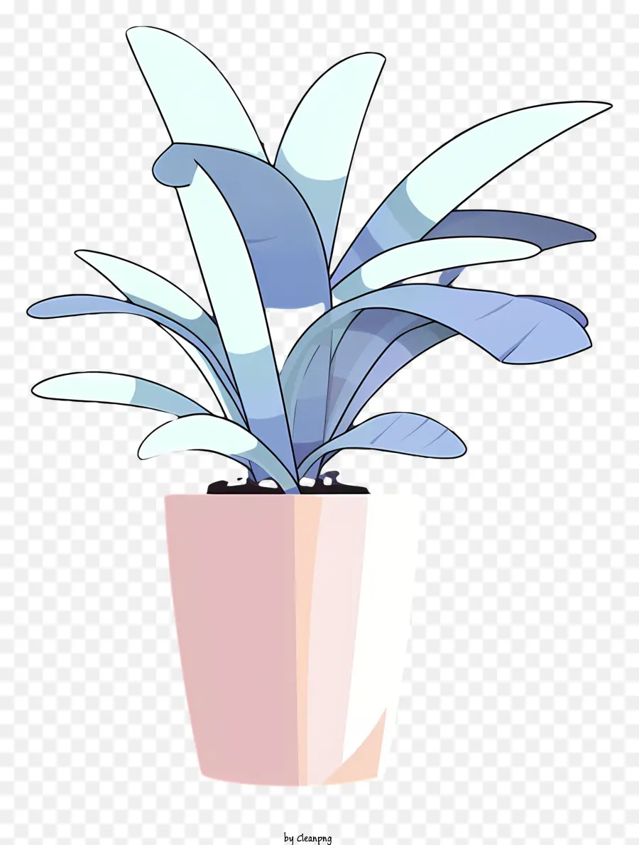 Plante En Pot，Feuilles Minces PNG