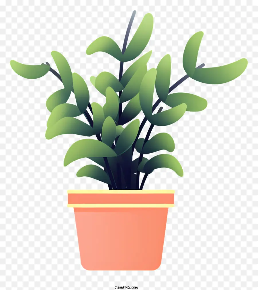 Petite Plante En Pot，Feuilles Vertes PNG