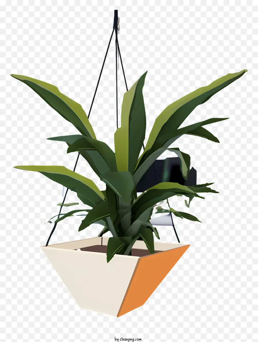 Plante Suspendue，Pot PNG