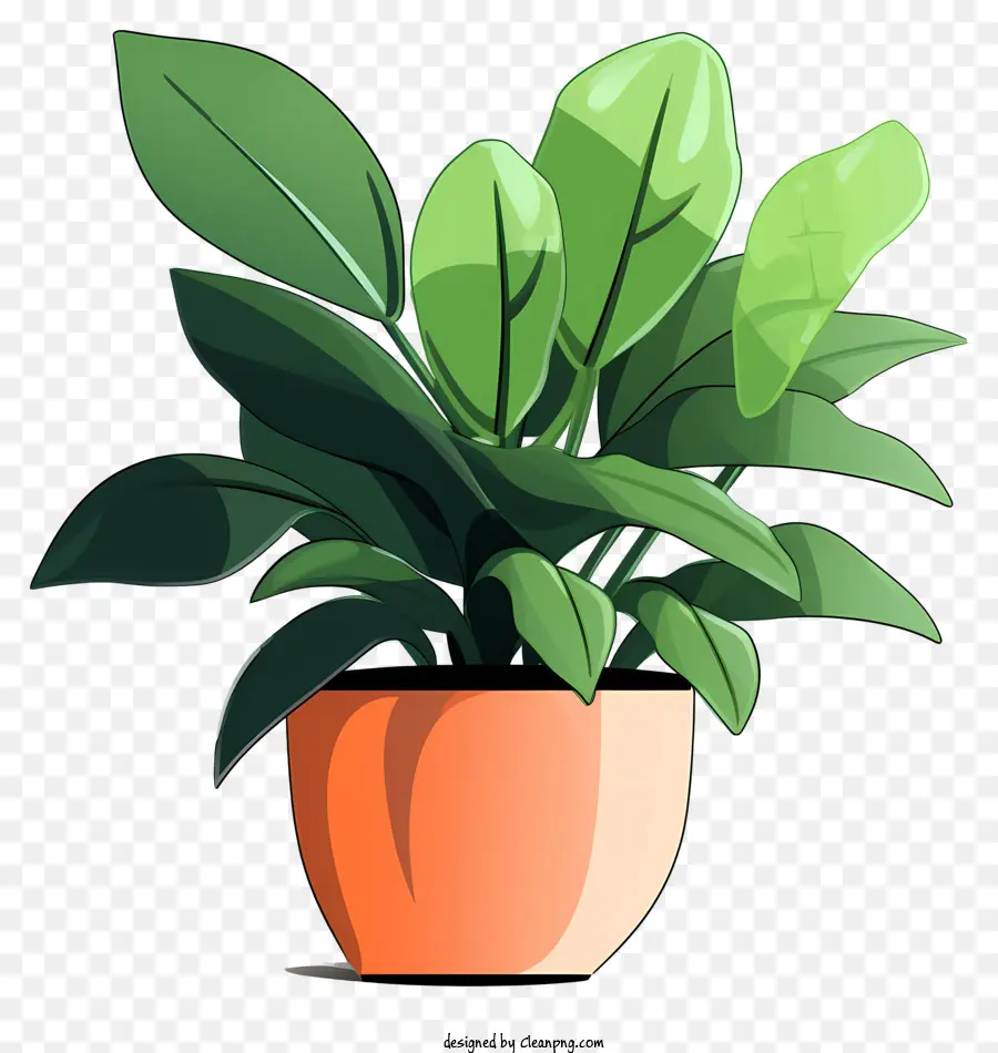 Plante En Pot，Plante à Feuilles Vertes PNG