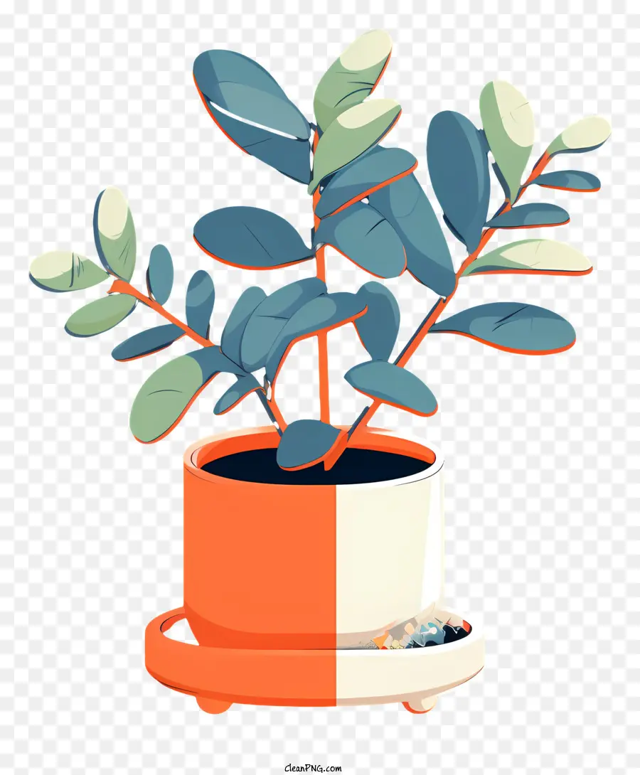 Plante En Pot，Pot PNG