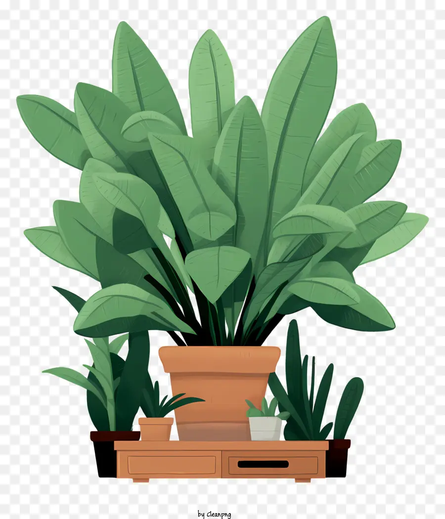 Plante En Pot，Plateau En Bois PNG