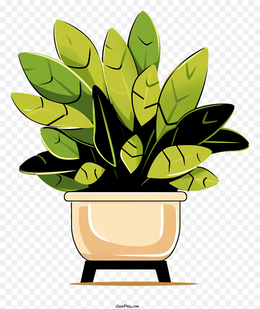 Petite Plante，Plante Verte PNG