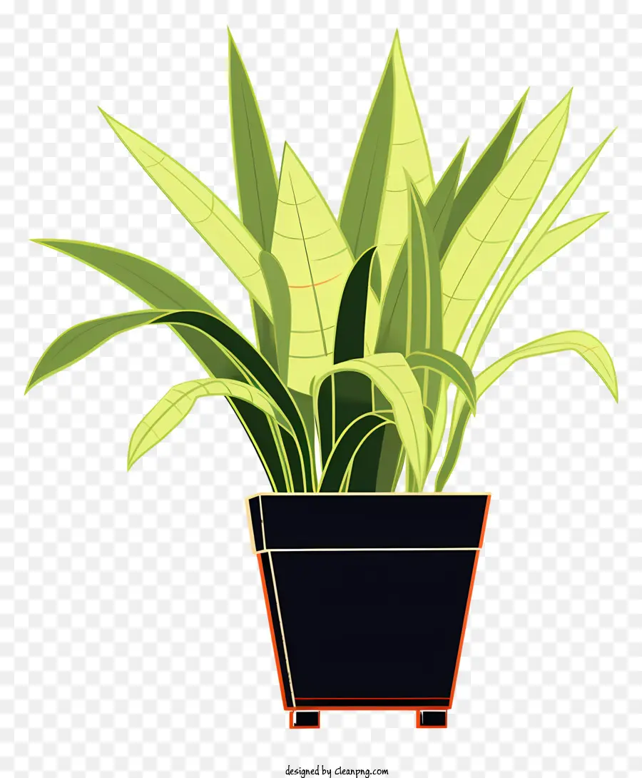 Les Plantes Succulentes，Les Plantes D'intérieur PNG