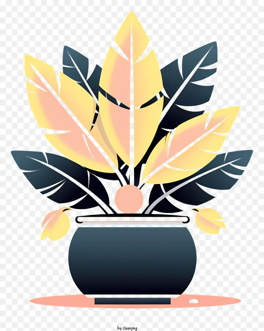 Pot，Plante En Pot PNG