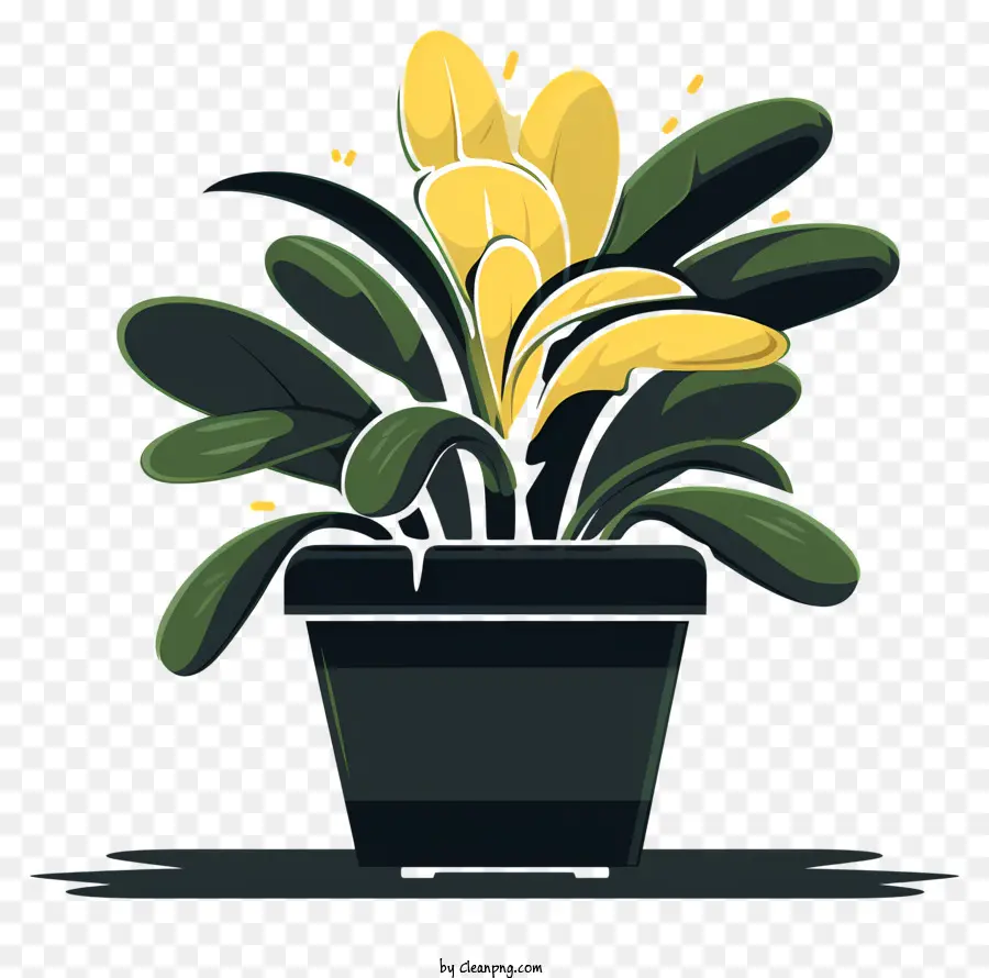 Plante En Pot，Fleurs Jaunes PNG