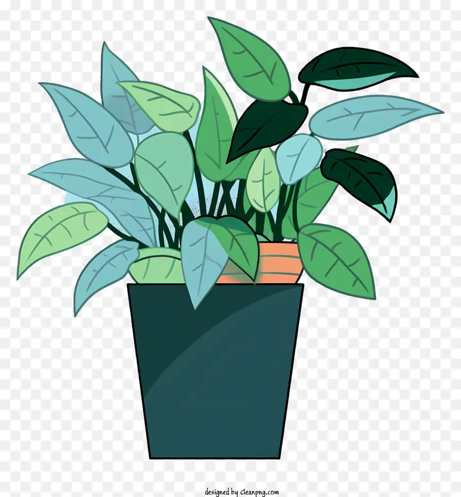 Plante En Pot，Feuilles Vertes PNG