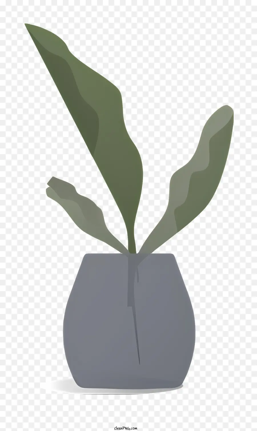 Plante Dans Un Vase，Plante Verte PNG