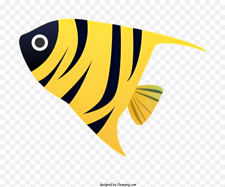 Poisson Rayé，Poisson PNG