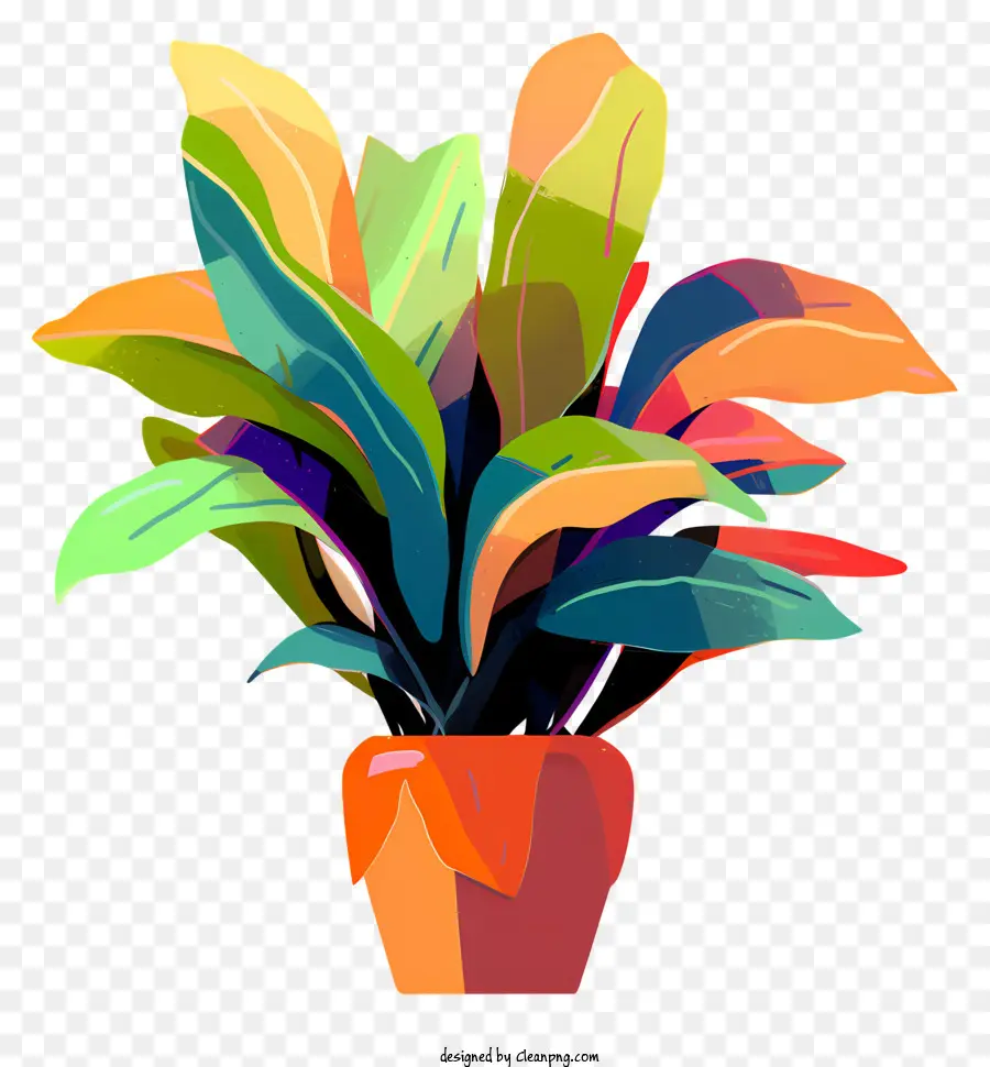 Plante En Pot，Succulent PNG