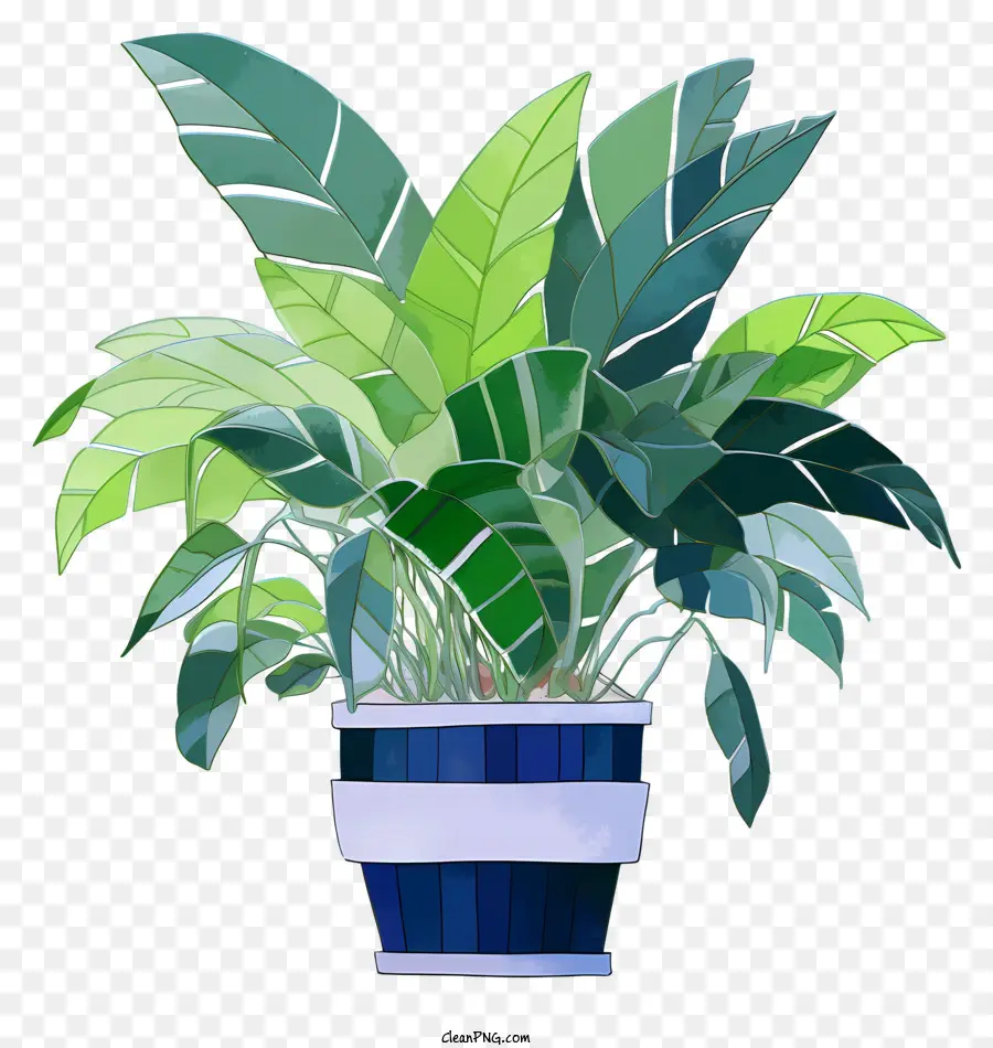 Grande Plante En Pot，Plante En Pot PNG