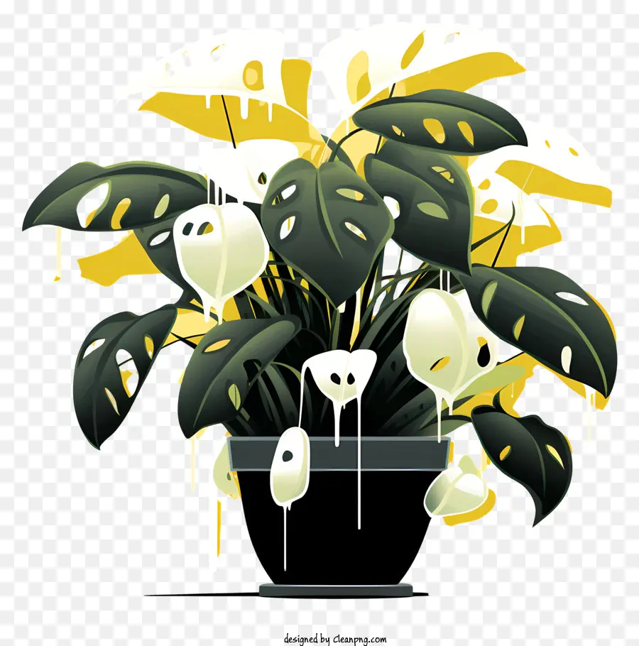 Plante，Pot PNG