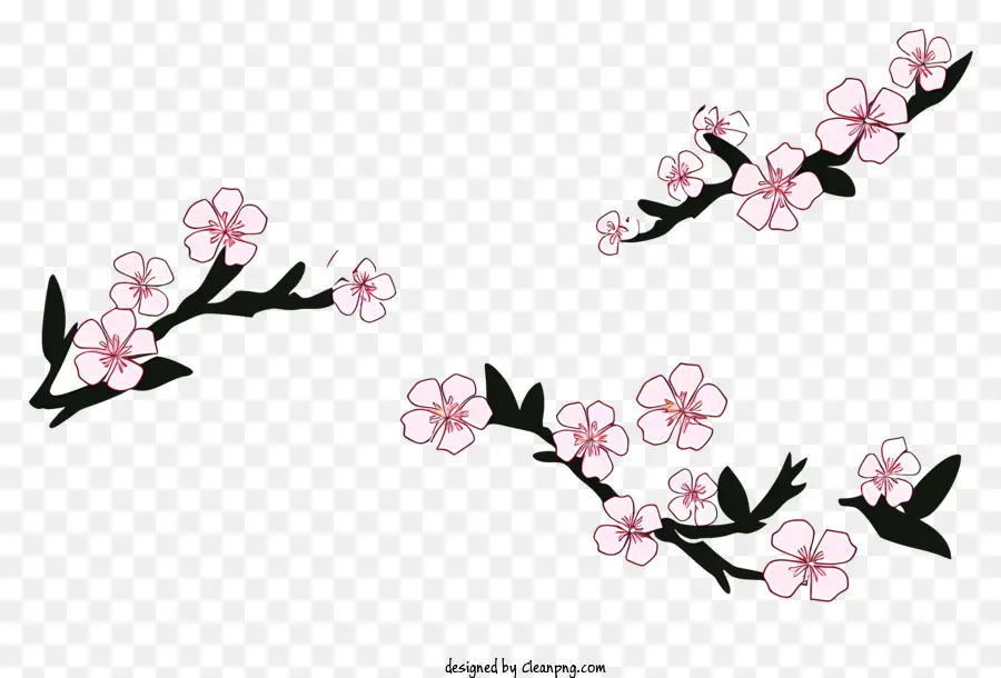 Fleurs De Cerisier，Dessin PNG