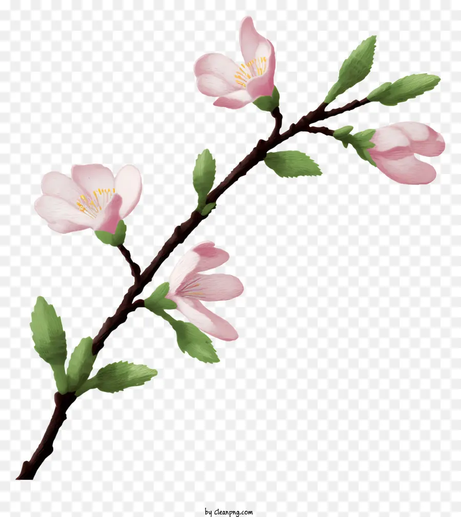 Fleurs De Cerisier，Fleurs Roses PNG