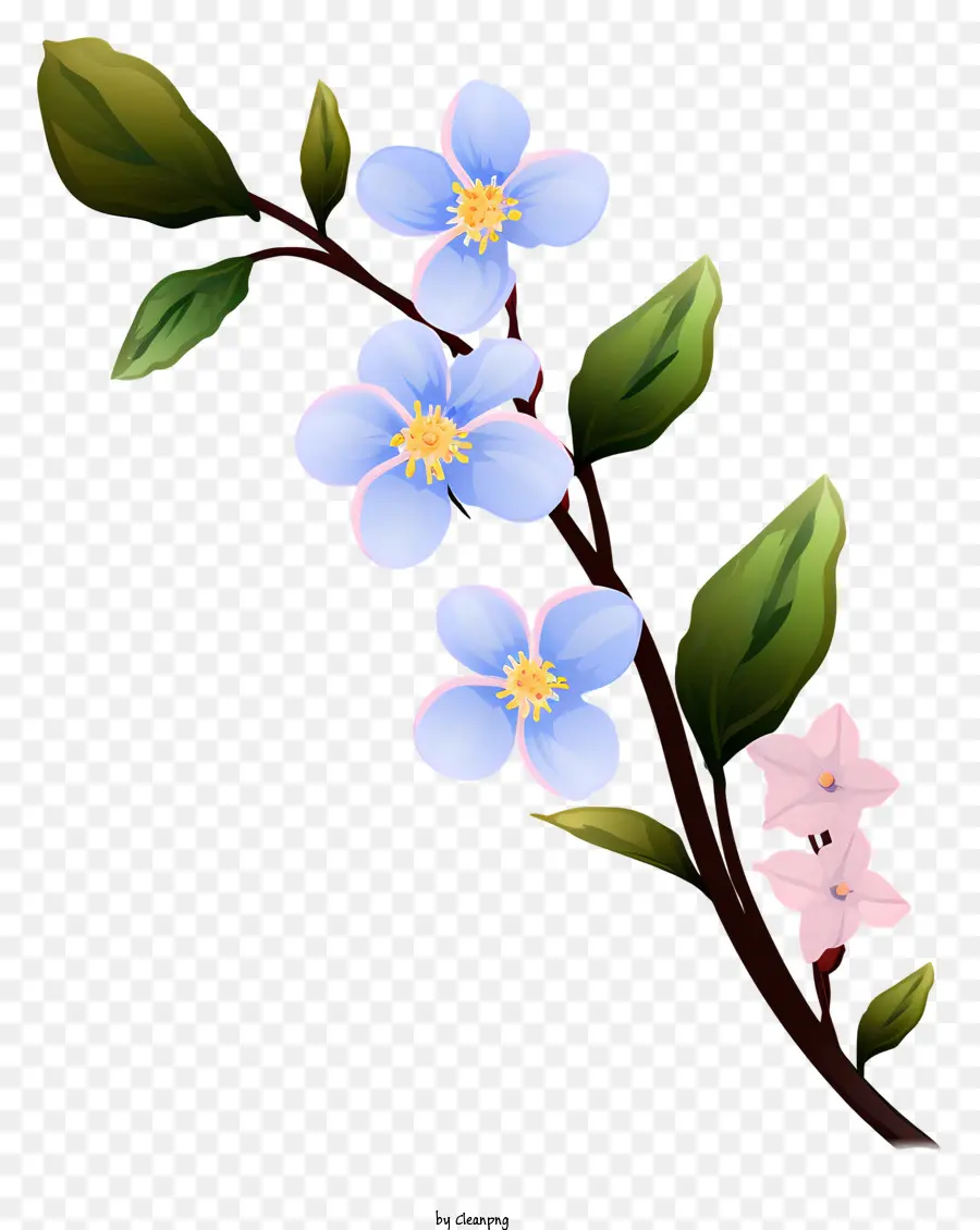 Fleurs，Branche PNG