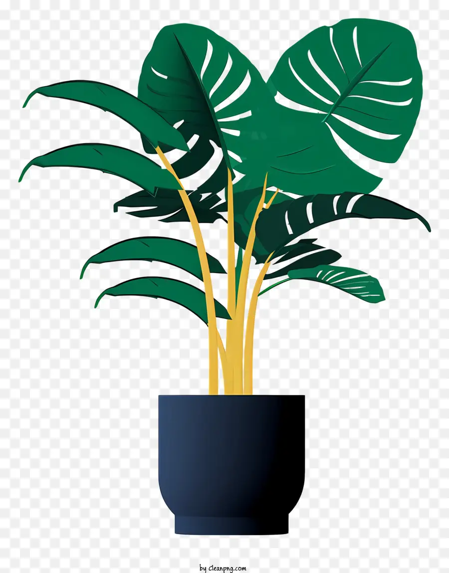 Plante En Pot，Plante De Monstre PNG