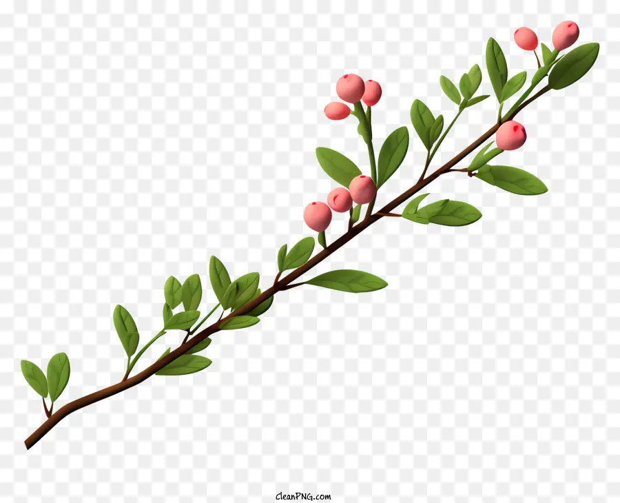 Fleurs Roses，Petite Branche PNG