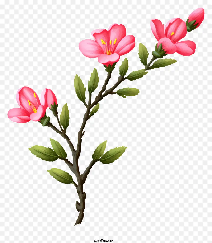 Fleurs Roses，Fleur Branche PNG