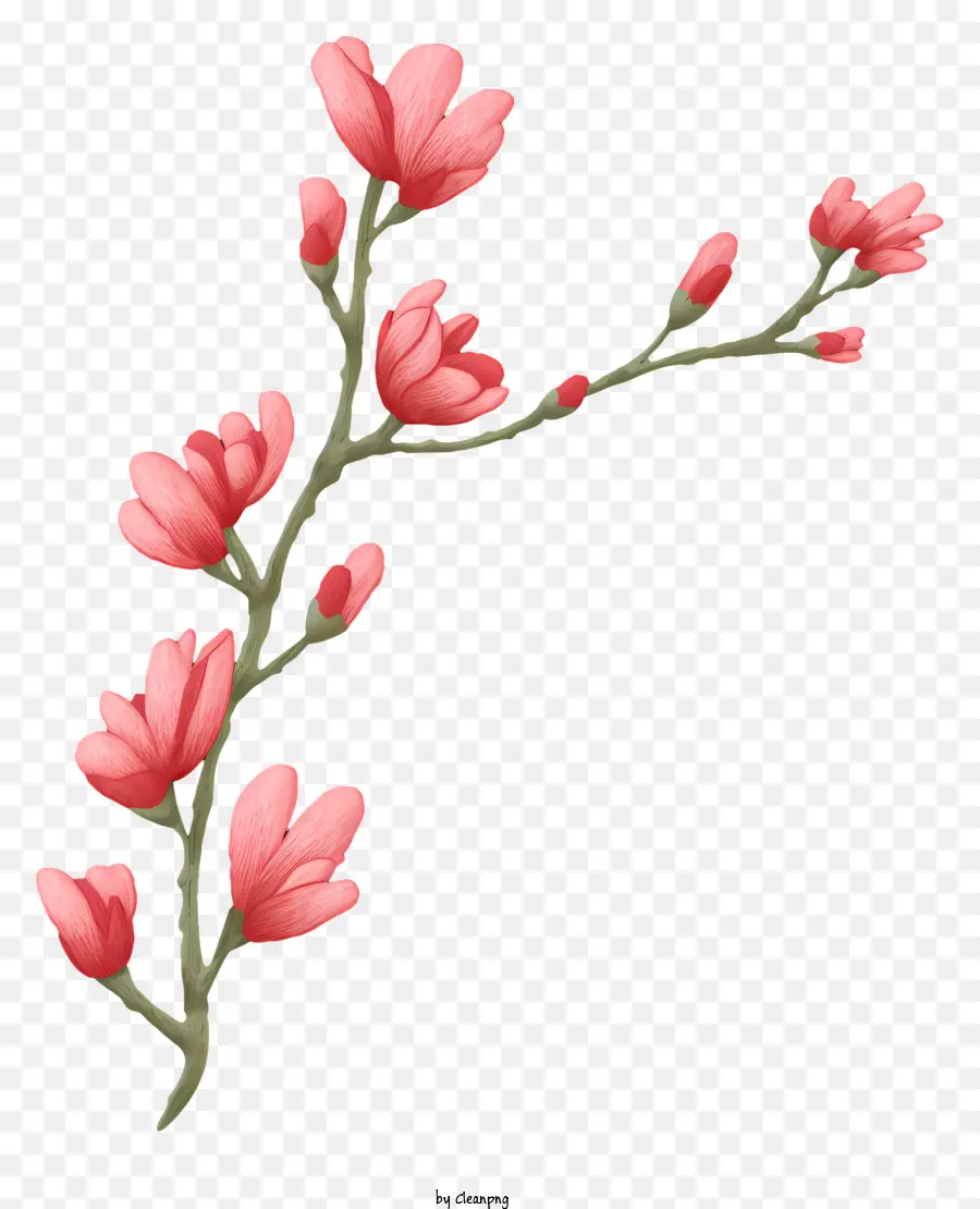 Petite Fleur，Fleur Rose PNG