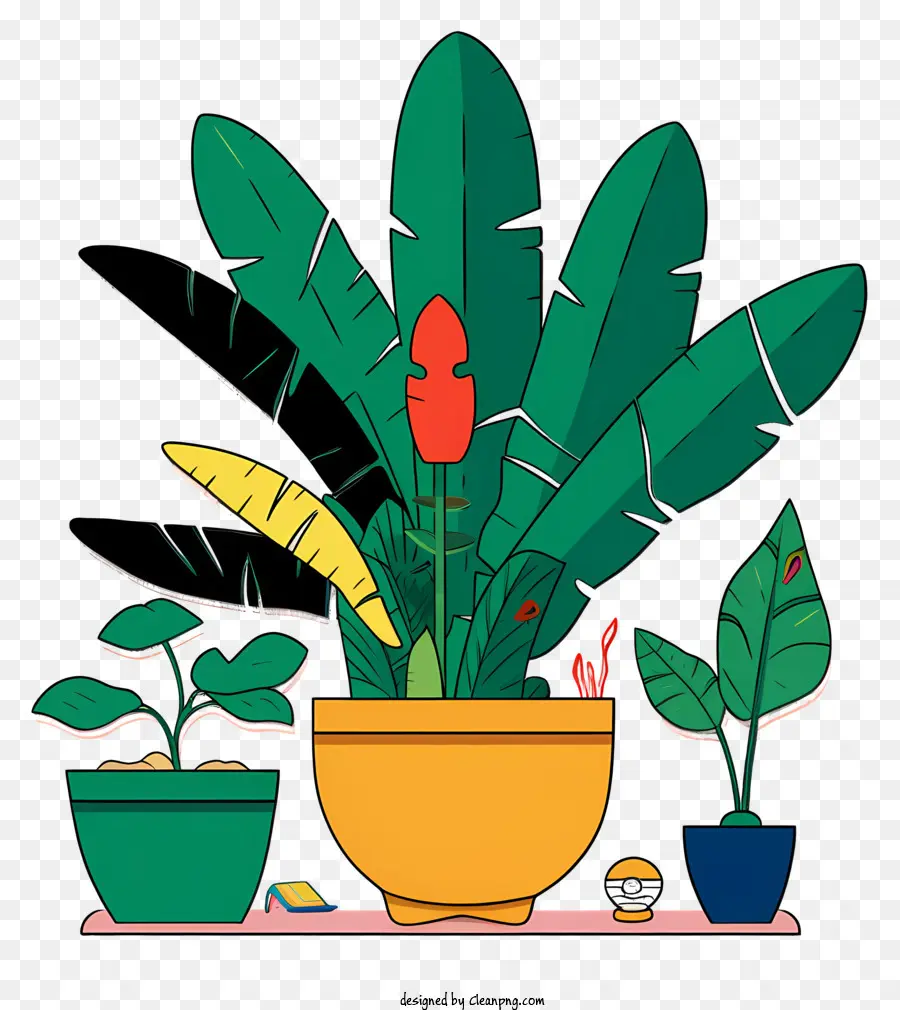 Les Plantes En Pot，Plantes Avec Feuilles Rouges PNG