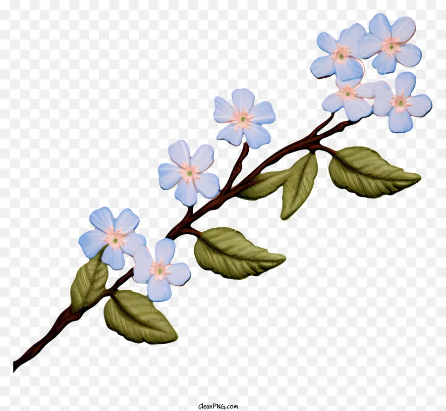 Petite Branche，Branche De Fleurs PNG