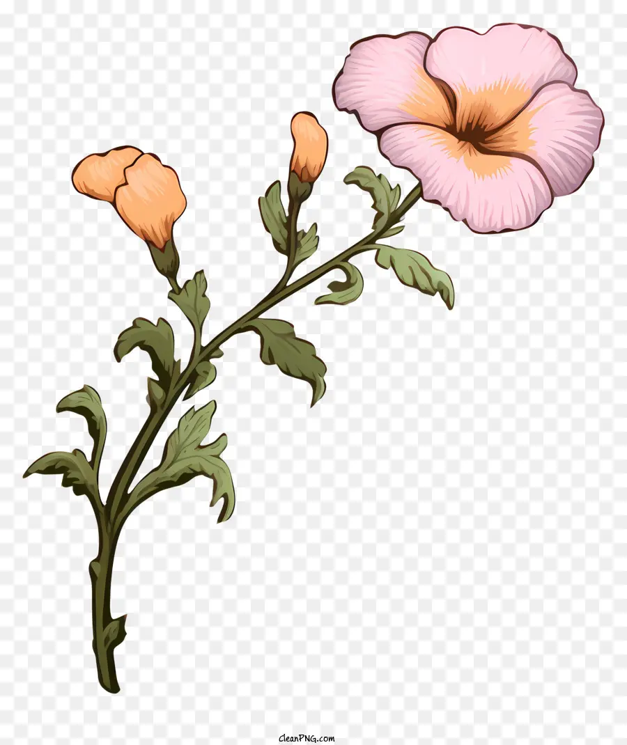 Fleur Rose，Fleur PNG