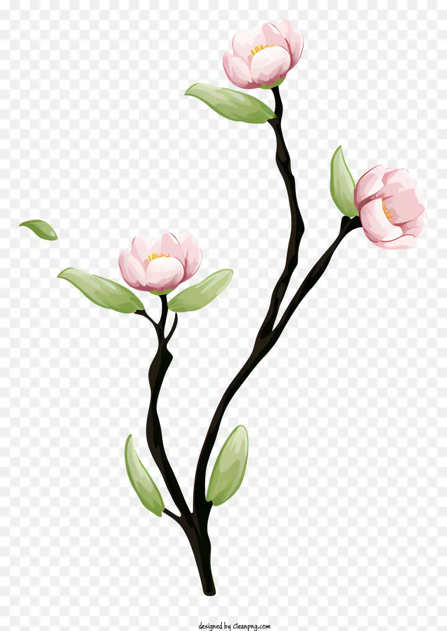 Bifurquer，Branche De Fleurs PNG