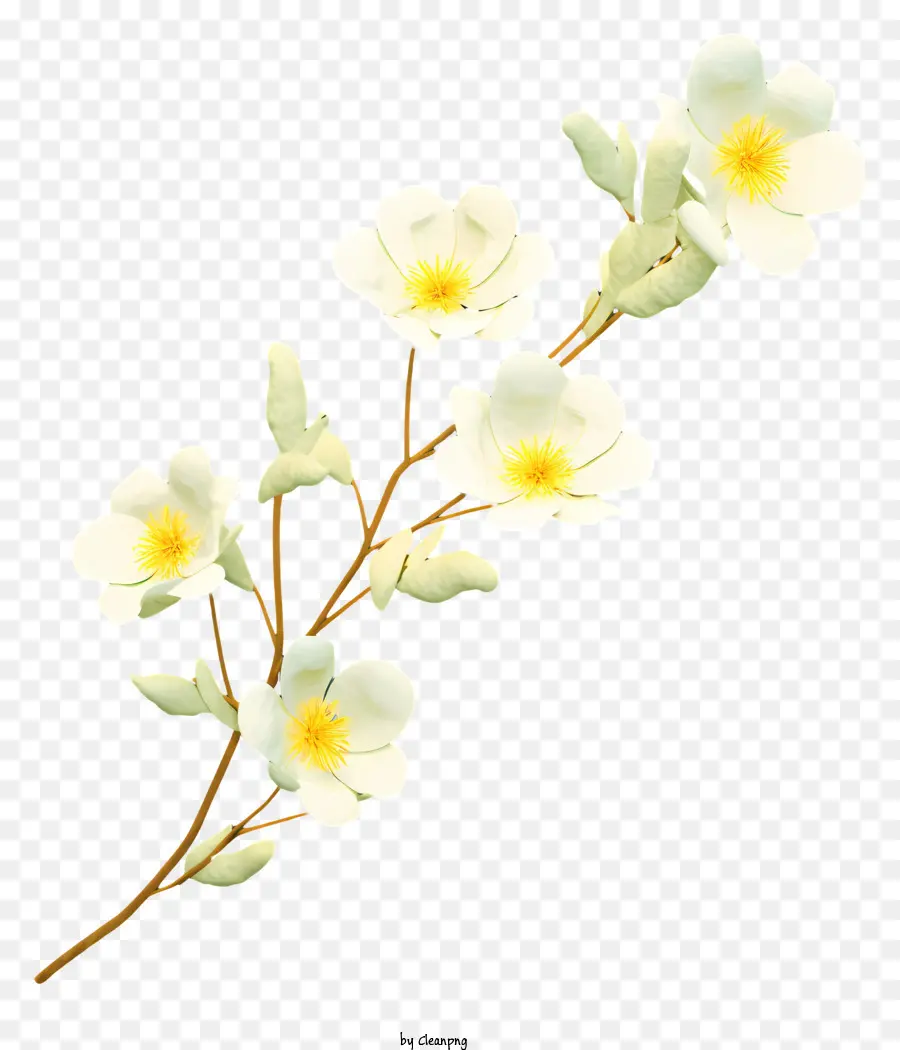 Fleurs Blanches，Bifurquer PNG