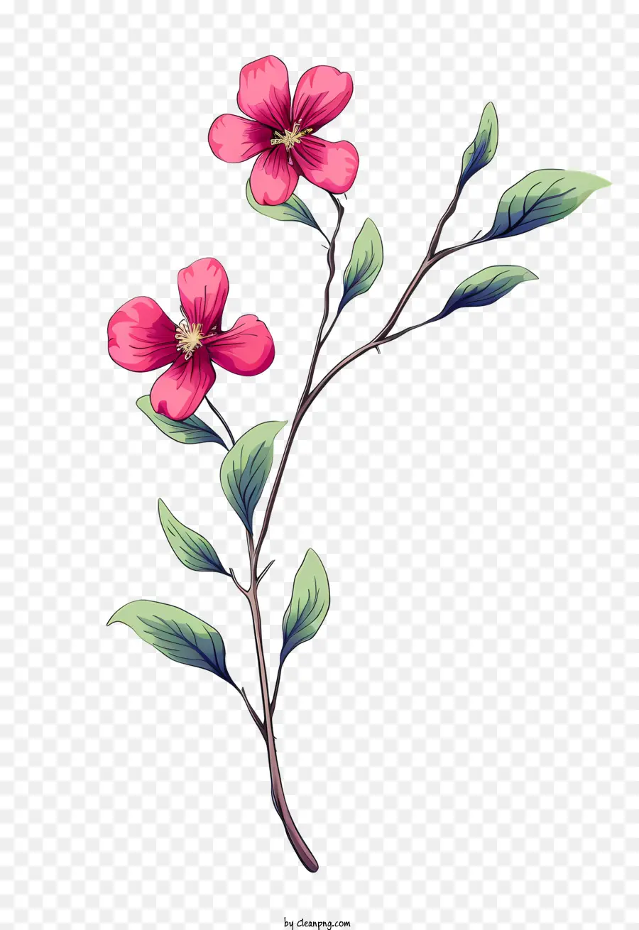 Fleur Rose，Fleurs Roses PNG