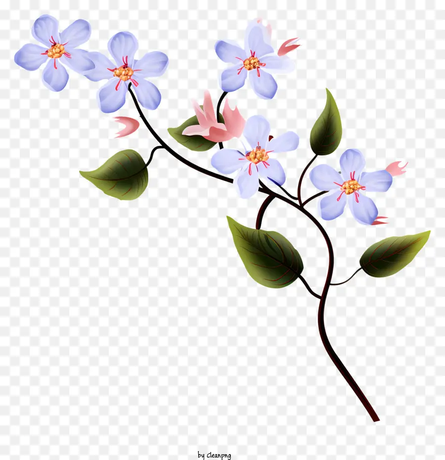 Fleurs Bleues，Fleurs Violettes PNG