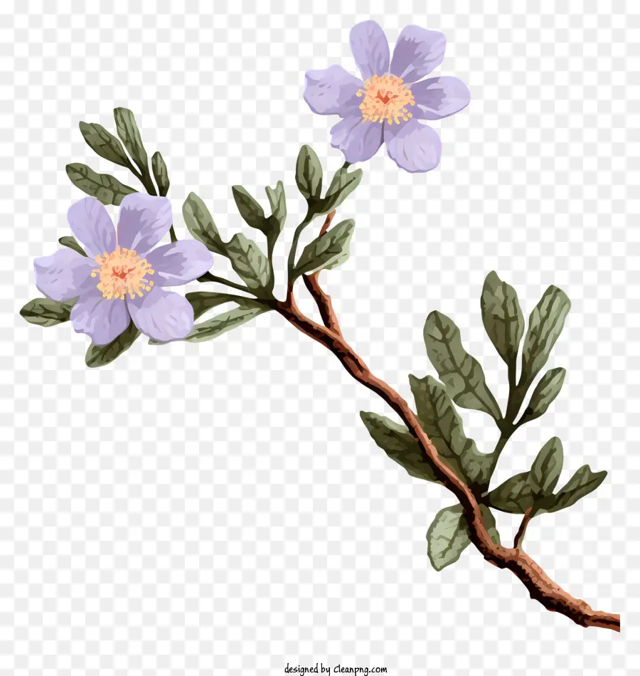 Fleur，Bleu PNG