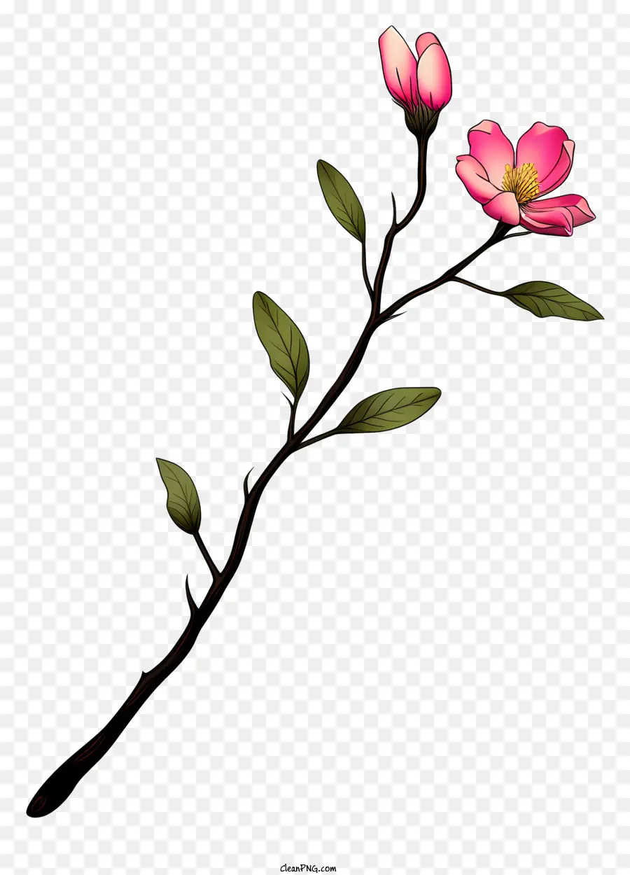 Fleur Rose，Branche Fleurie PNG