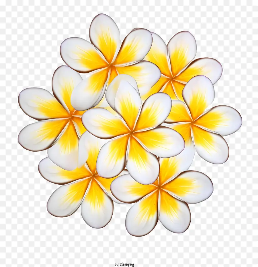 Plumeria Fleurs，Jaune PNG