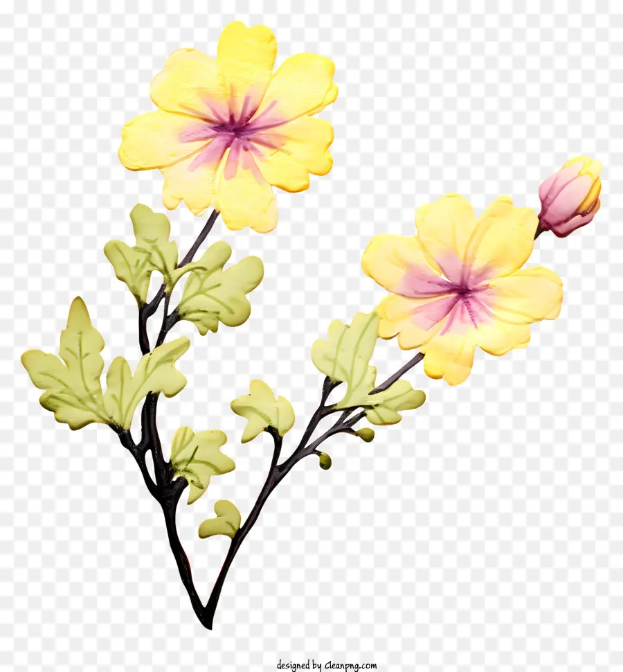 Fleurs，Fleurs Jaunes PNG