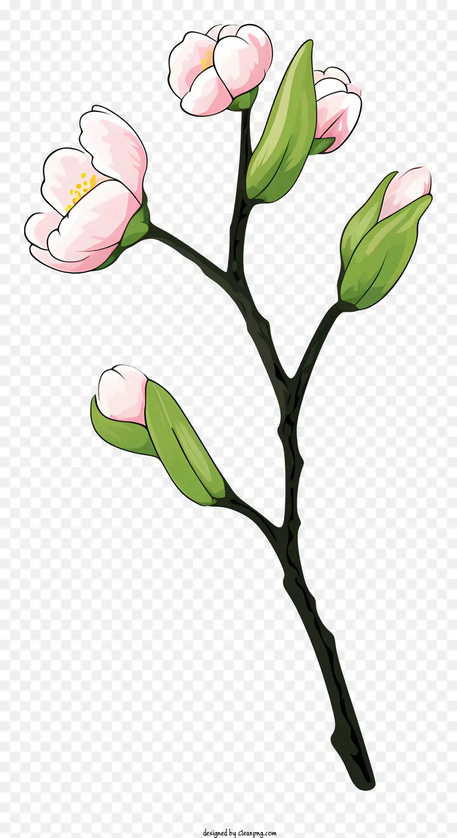 Branche D'arbre，Fleurs Roses PNG