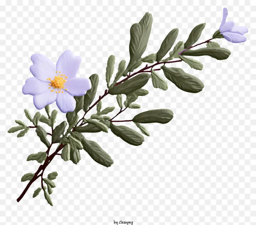 Fleur，Bleu PNG