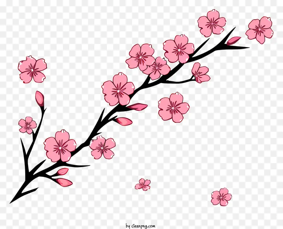 Fleurs De Cerisier，La Floraison Des Cerisiers PNG