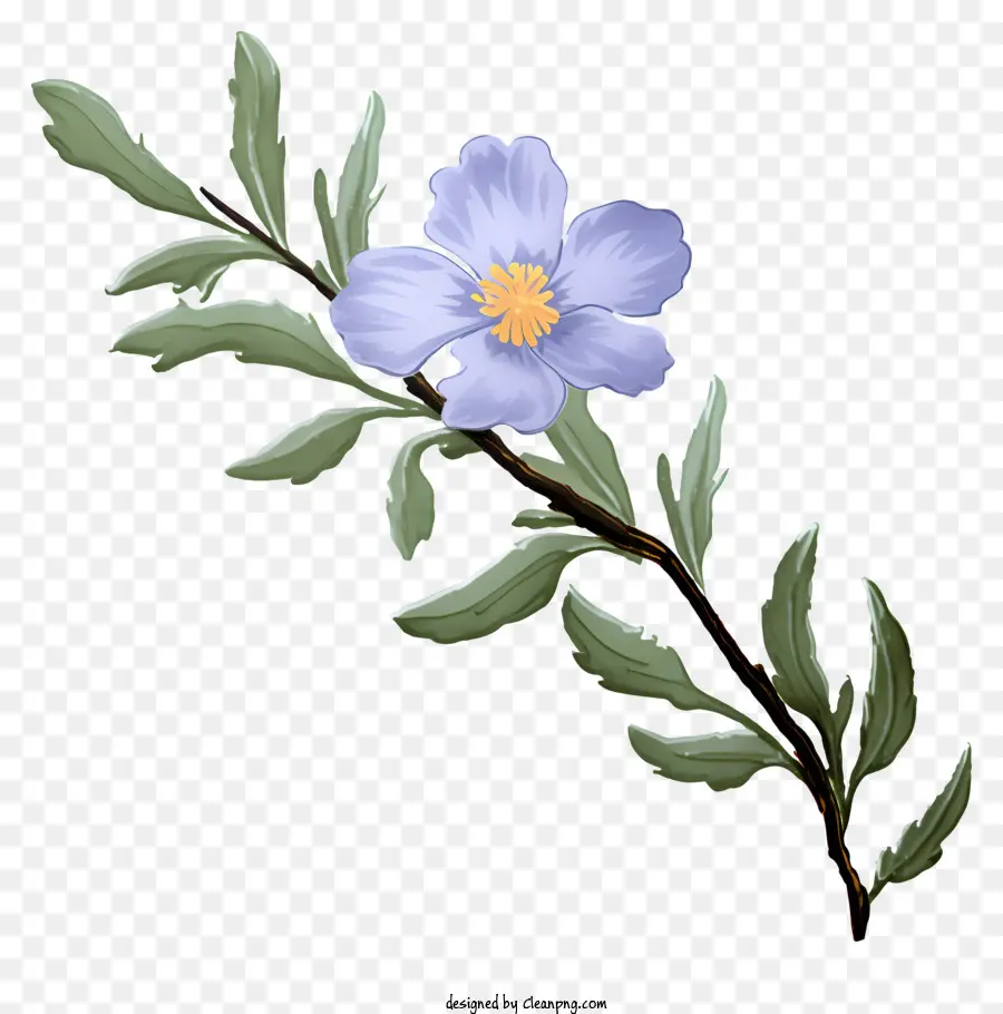 Fleur Bleue，Fleurs Sauvages PNG