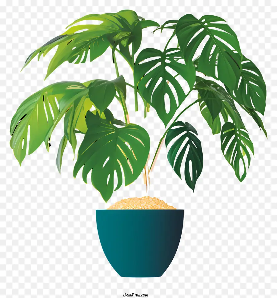 Plante En Pot，Feuilles Vertes PNG