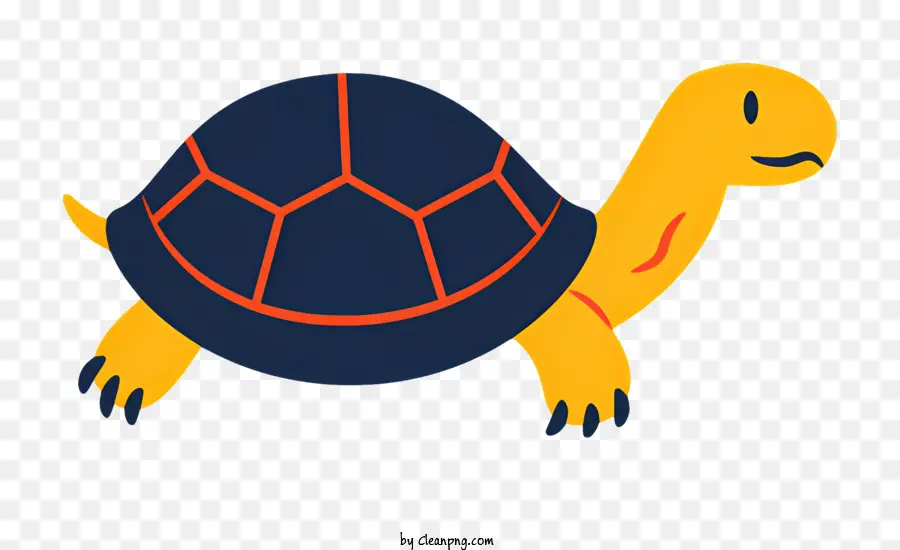 Tortue，Tortue Bleue PNG