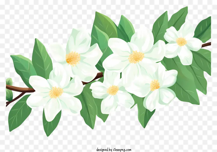 Fleurs Blanches，Tige Verte PNG