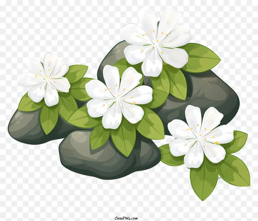 Fleurs Blanches，Pétales PNG